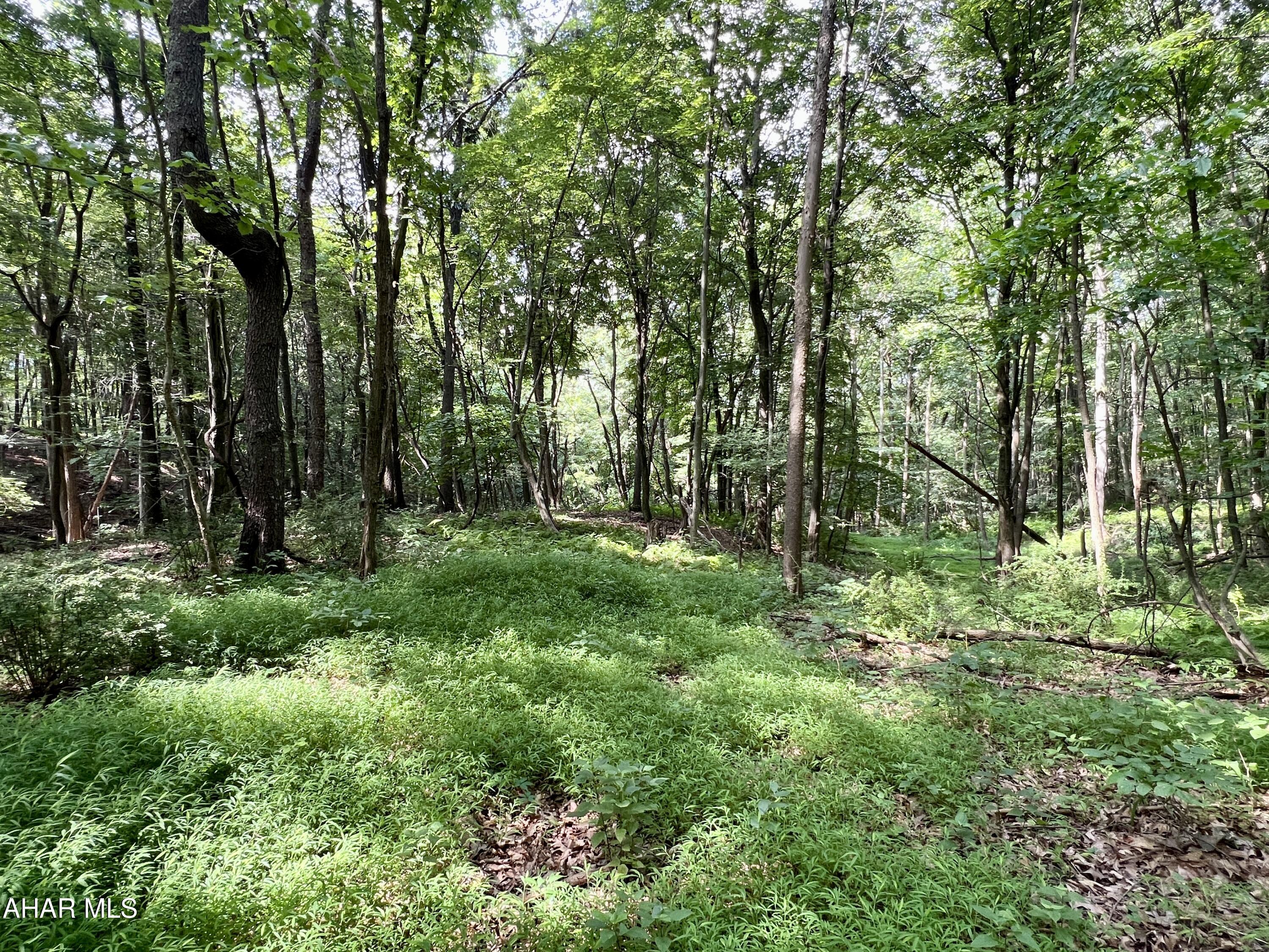 None - Commercial Sale