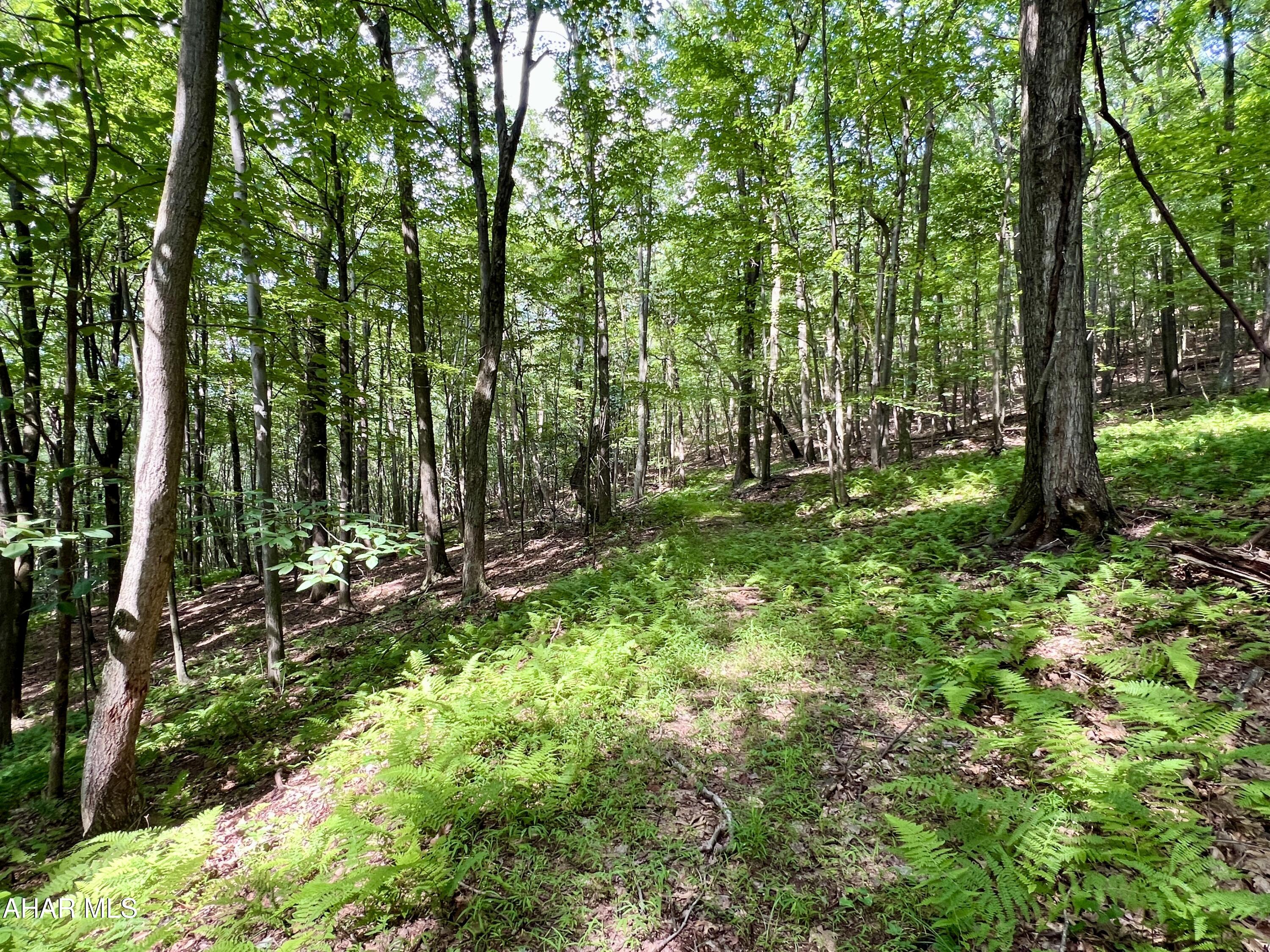 None - Commercial Sale