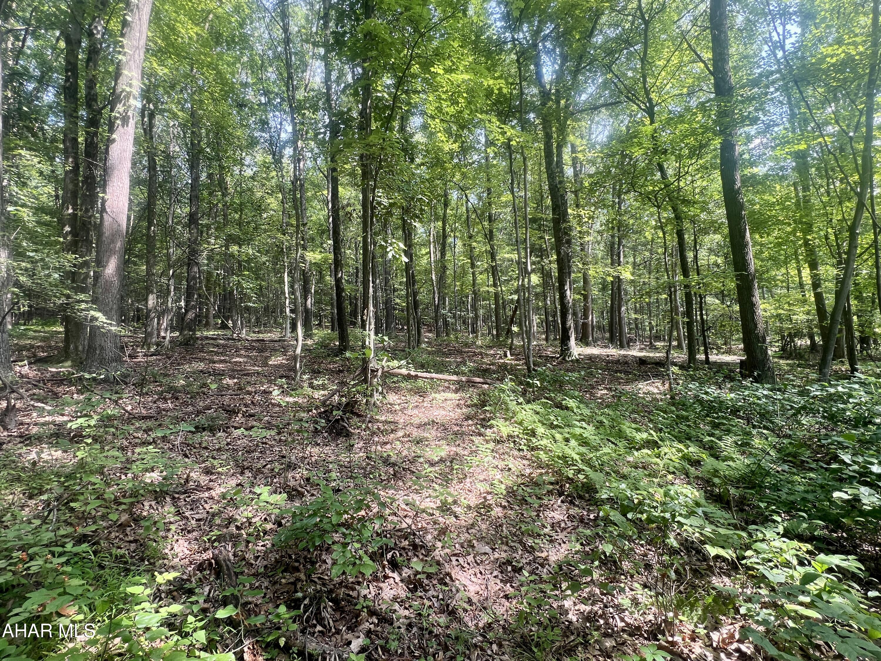 None - Commercial Sale