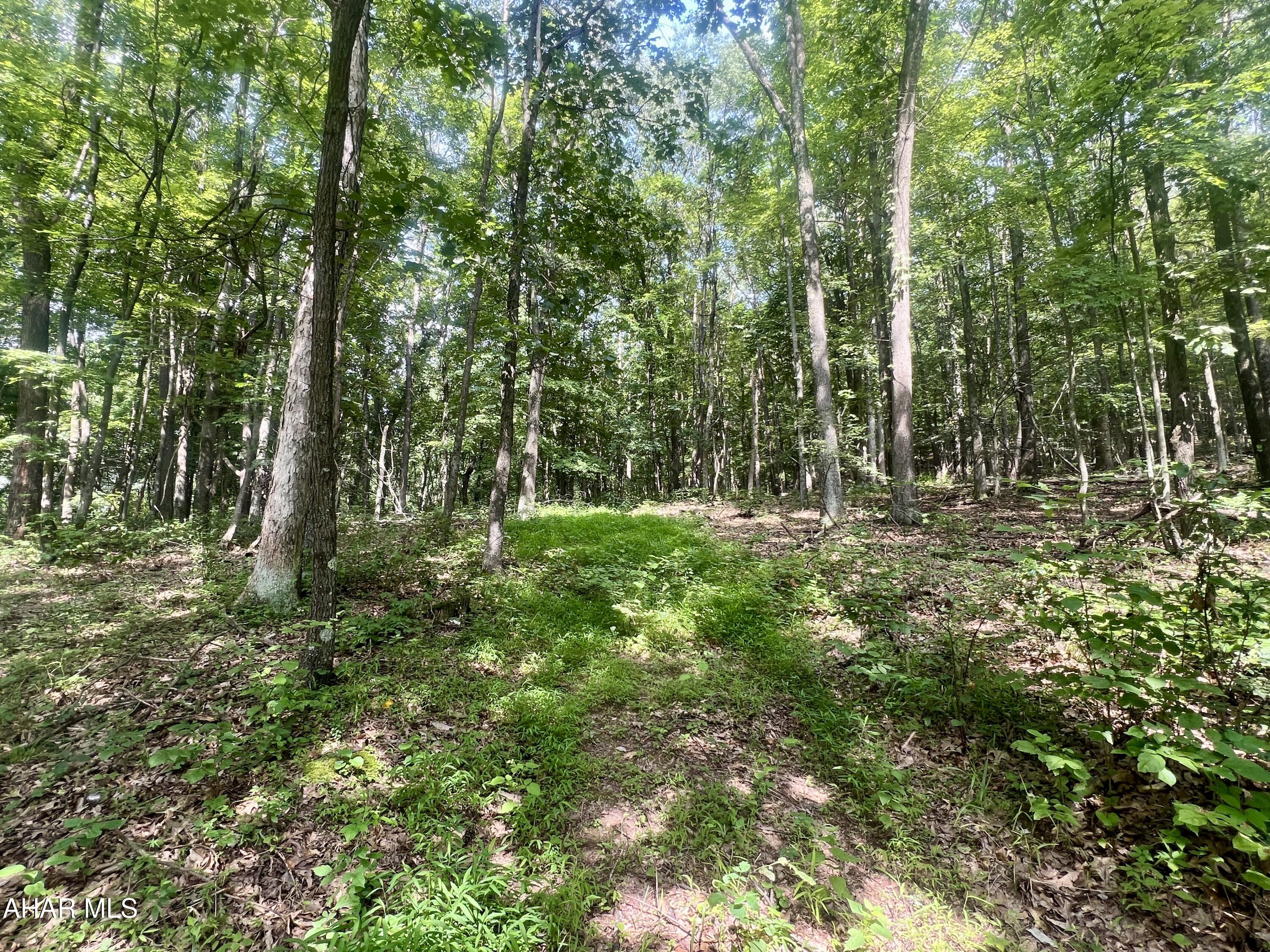 None - Commercial Sale