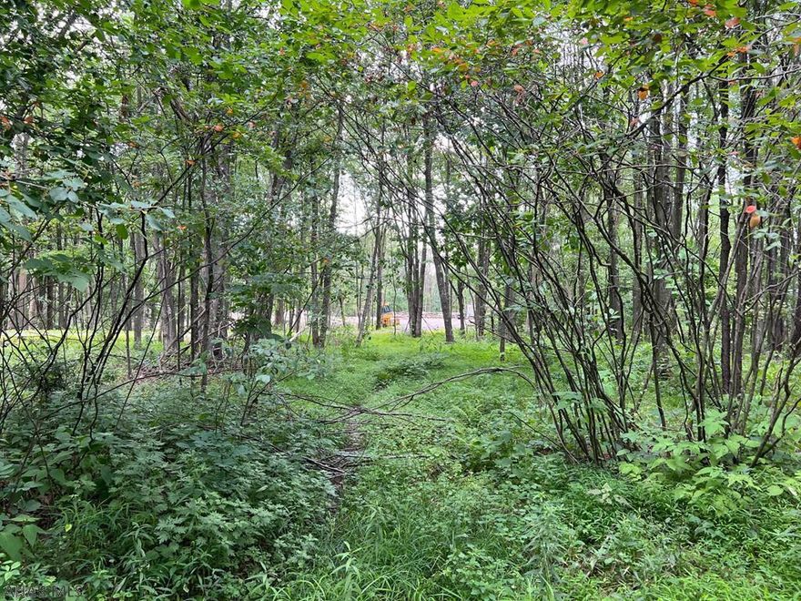 Wooded vacant lot in the Juniata Section of Altoona.