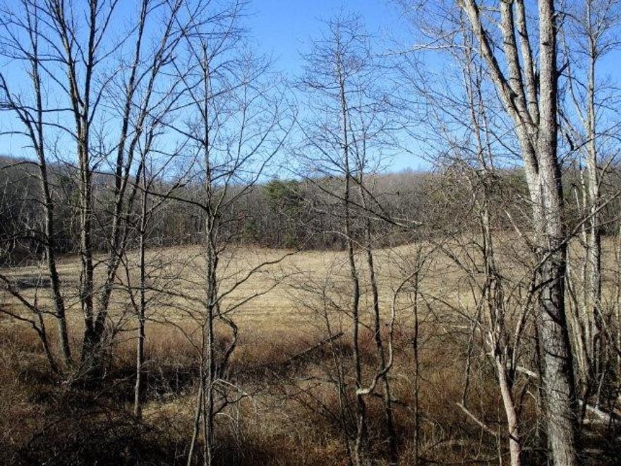 107.571 acres of mostly wooded land. Excellent hunting and close to state lands. Located in beautiful southern Bedford County, close to MD and easy access to major roads. Nice building site or sites or use for a recreation parcel!!