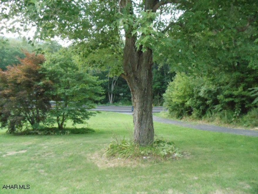 House burned down.  Previous house had well and public sewer.  2-car garage w/blacktop drive.  Approx 3 acres of woods.  Lawn beside & in front of garage.  Overlooks creek across Rt 915.  Great place to rebuild.  Not far to Raystown Lake, Weavers Falls Boat Launch.  #J-178