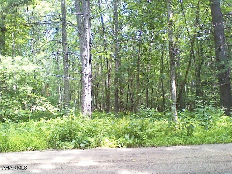GREAT INVESTMENT POTENTIAL.. Increase your income from Gas royalties and Timber value from this 1 acre of ground in Clinton County. great for home or camp. Excellent area for hunting or fishing. Near State Gamelands. Call Laurel for details. 932-9880. GREAT INVESTMENT POTENTIAL.. iNCREASE YOUR INCOME FROM Gas royalties and Timber value from this 1 acre of ground in Clinton County. Great for home or camp. Excellent area for hunting or fishing. Near State Gamelands.