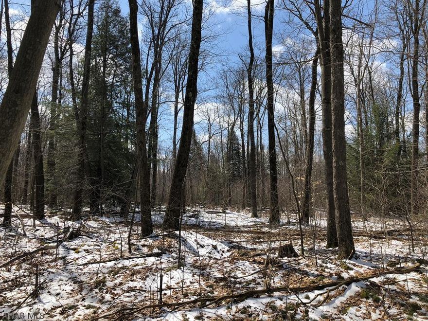 Nice wooded building lot consisting of 18 +/- acres located near Reels Corner. Would make a nice place to build your dream home or getaway cabin. Easy access to Indian Lake, Mountain Ridge ATV Park, and much more! Property can be subdivided in two separate parcels consisting of 10.7 acres or 7.65 Acres. Perc approved!