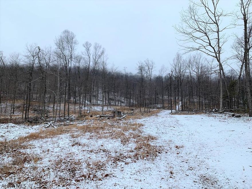 90 acres of wooded land that adjoins Buchanan State Forest!! Land has been percolation approved for a private sewer system. Building site for a year round home or a weekend get-away. Terrific property for recreational users. Spring on property. Good views of the surrounding countryside. Contingent upon subdivision approval.