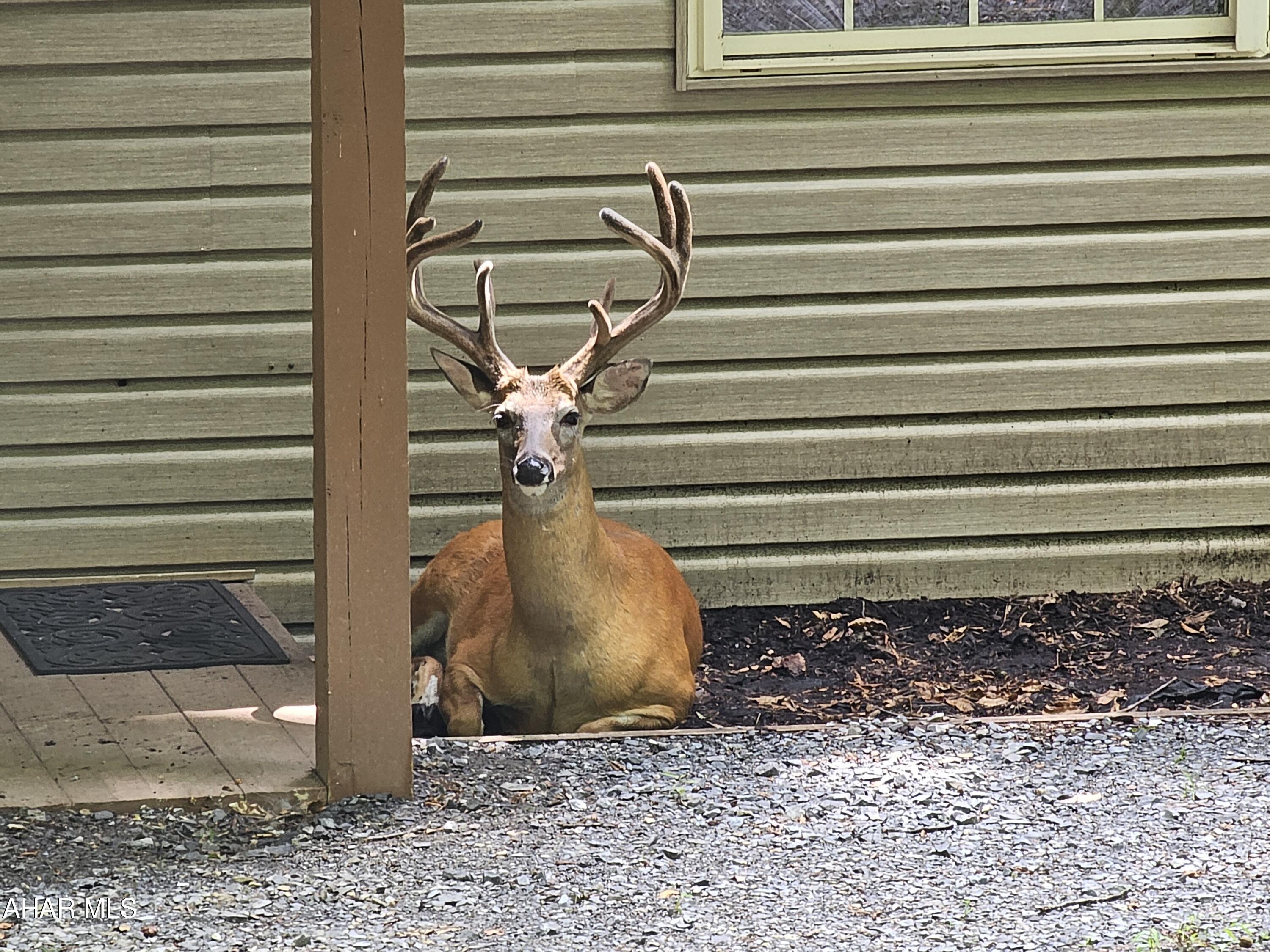 Glendale Yearound - Residential