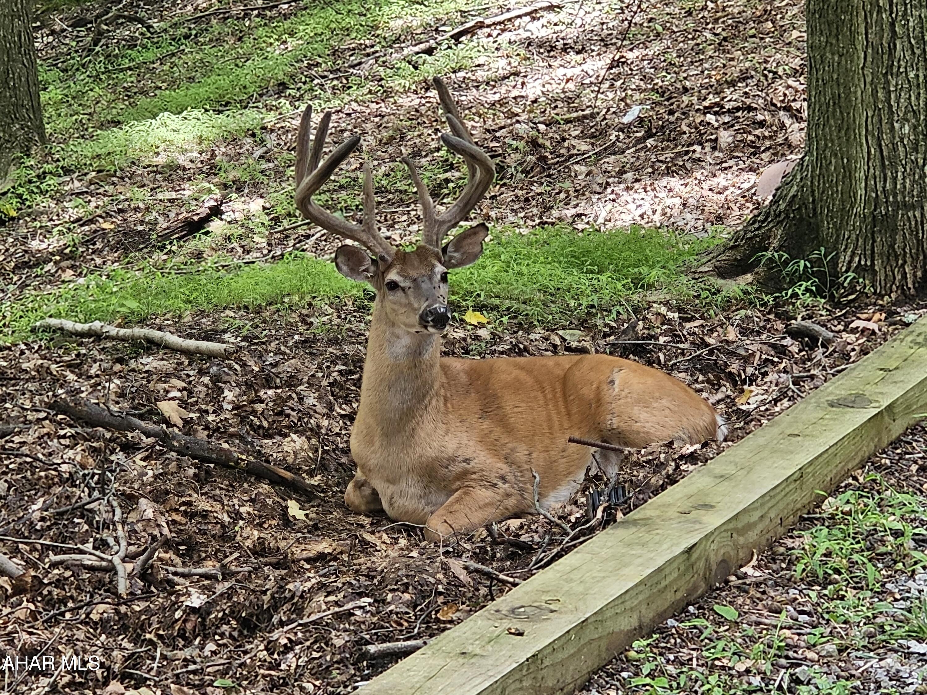 Glendale Yearound - Residential