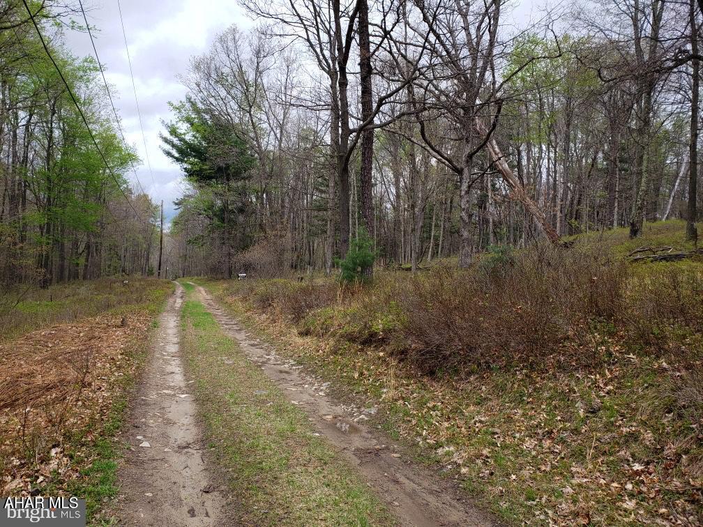 None - Commercial Sale