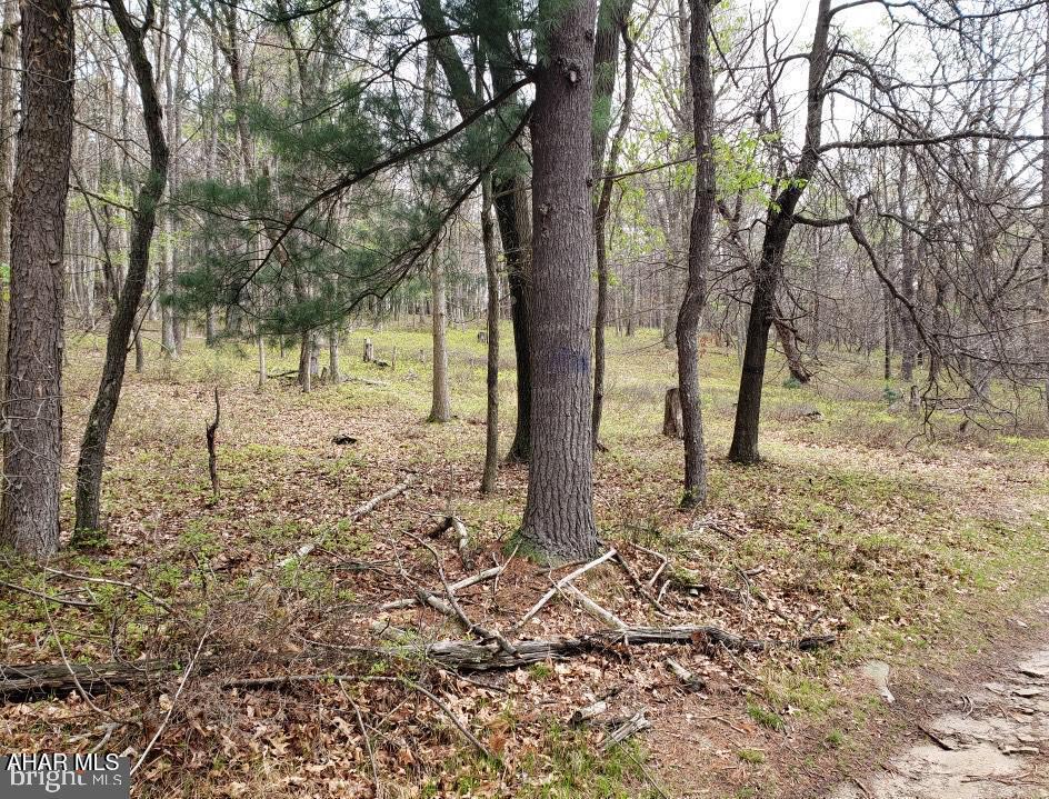 None - Commercial Sale