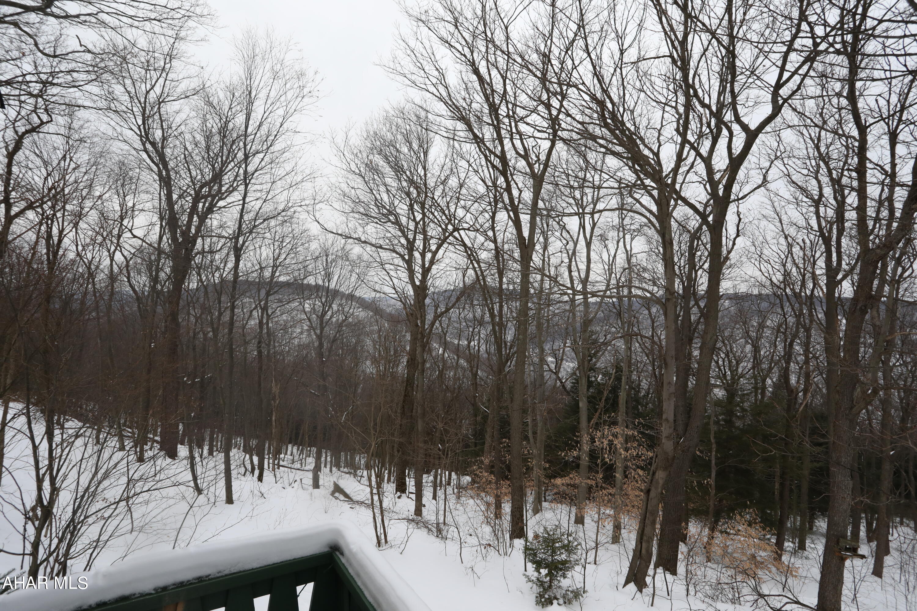 Blue Knob - Residential