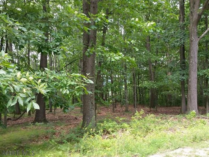 Beautiful country setting for your new home! Public water & electric available, previously perked for sand mound. 1.32 Acre Lot. J-390