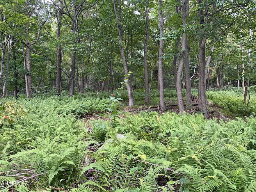 48.41 acres of fully wooded ground bordering the Evitts Creek Water Company ground with access to hundreds of acres of hunt-able ground.  Recently surveyed with clear markings.  Trail access to and on the property.