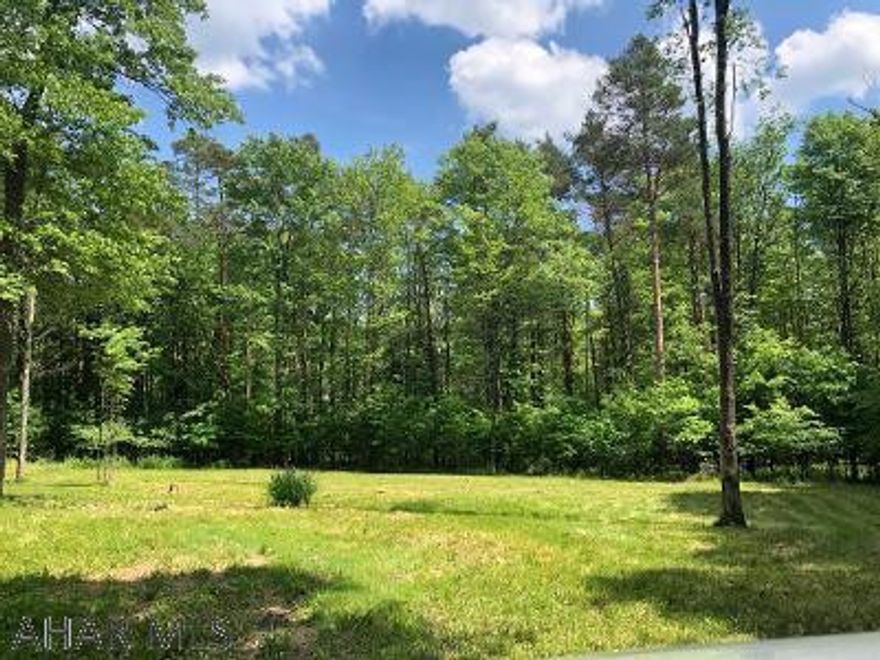 Own your very own piece of serenity!  This property is 3.88 acres and is just minutes from state game lands.  Build your dream home or your hunting camp and enjoy all the wildlife.  Part of the property has already been cleared of trees.  Electric and water are currently run to the property as well as a sandmound septic tank installed around 2005.  City sewer is available at Eureka street as well!  Lower half or property is located in a flood plain.  Trailer is being removed from the property, shed will stay.