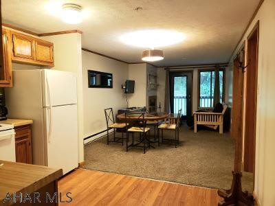 Blue Knob - Residential