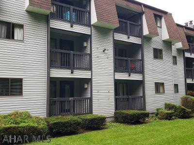 Blue Knob - Residential