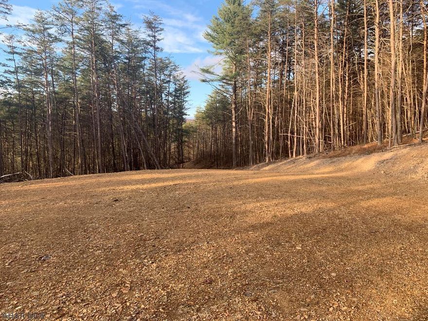 Nice wooded 17+/- acre parcel of land located in Southern Bedford County, PA. This property would make an excellent location to build a getaway or full time residence. Property borders the PA State Forest and is located within a few miles of the PA/MD State line. There is already a road cut into the property and a large area cleared that could be used for a home or camper.