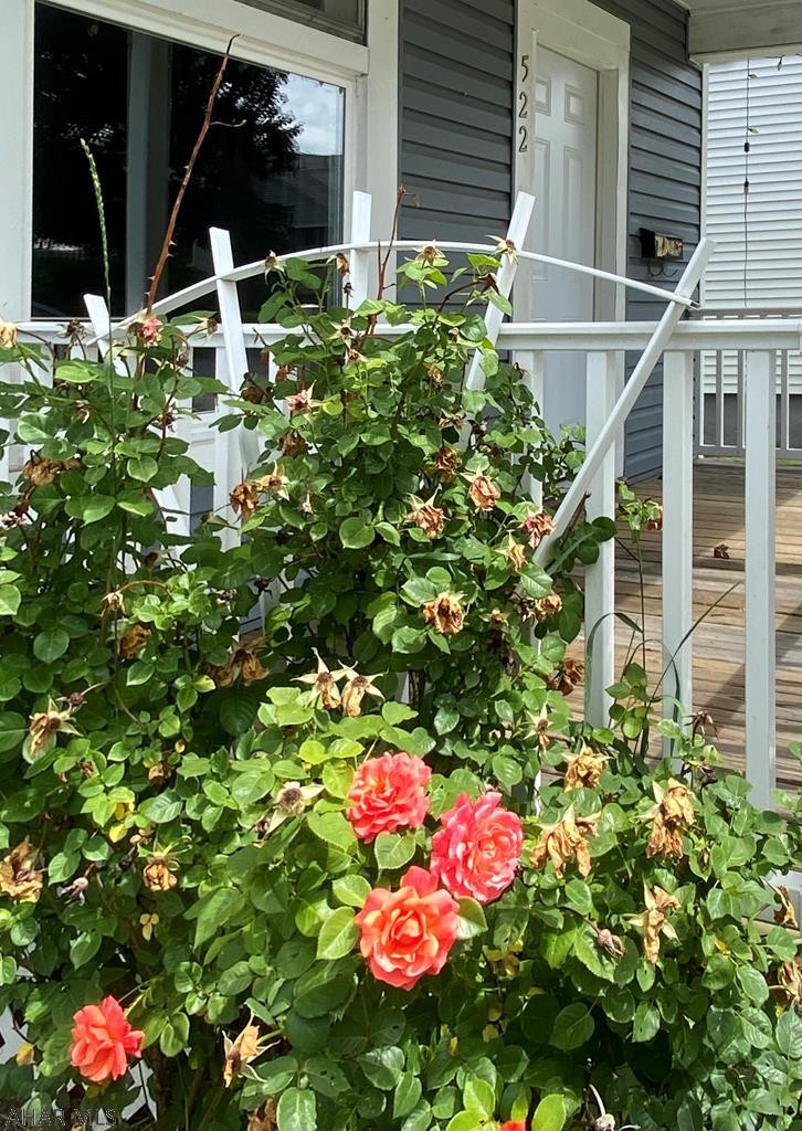 East End - Residential