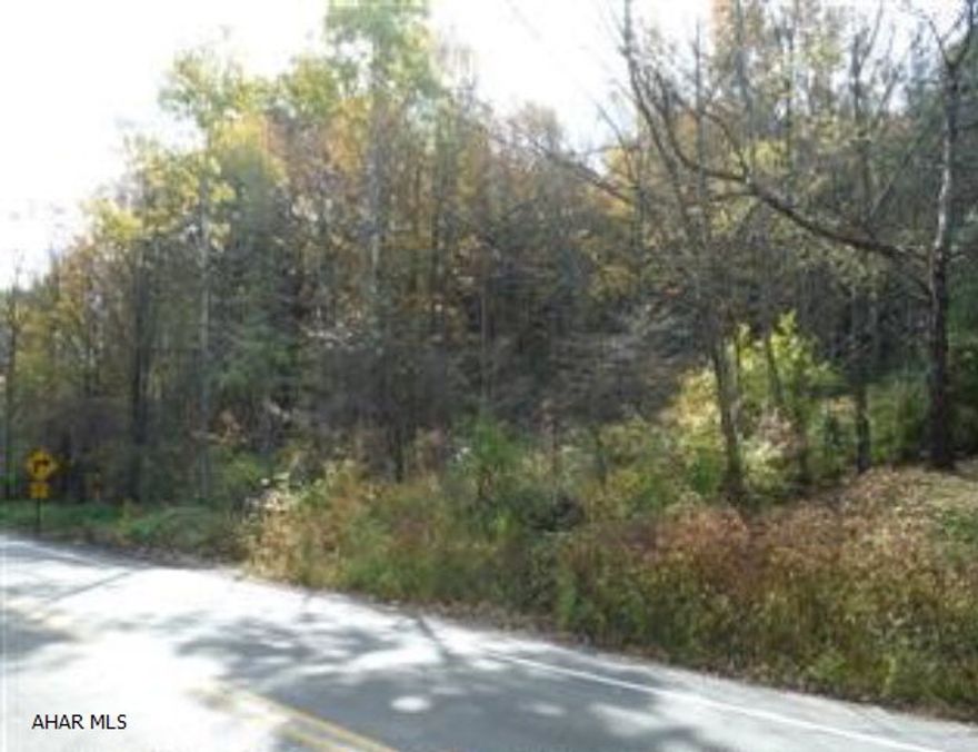 Fantastic wooded 6.29 acre lot in Logan Township with 400' frontage. Property has access to public sewer!
