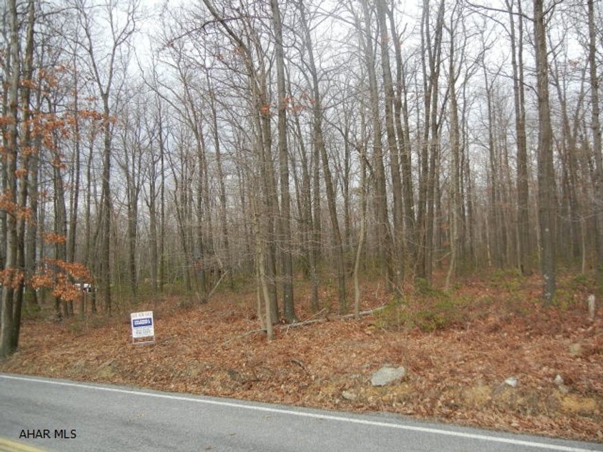 One of Blair County's most exclusive areas.  Premium 1 Acre, level wooded lot in the Glades that offers deed restrictions and privacy.