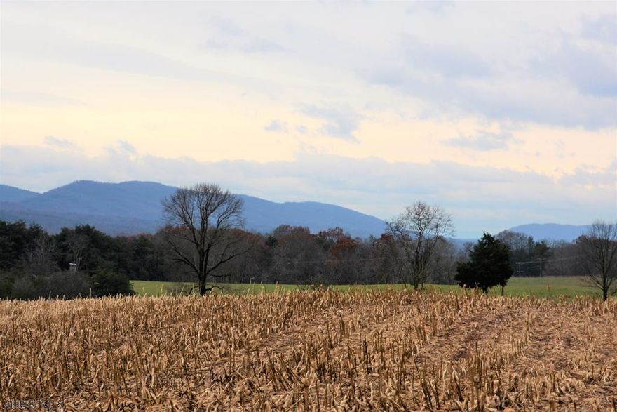 Overlooking the mountains of Southern Bedford County, you will find this 37+/- rolling acres. Mostly fields with some woods and a small stream, this property makes for a  beautiful site to build your dream home or getaway on. This property offers beautiful views of the countryside and is located in a very scenic and country part of the State. Located not far from State Game Lands, abundant wildlife scatters the area offering outdoor activities such as bird watching, hunting, biking and fishing just to name a few are all at your fingertips.