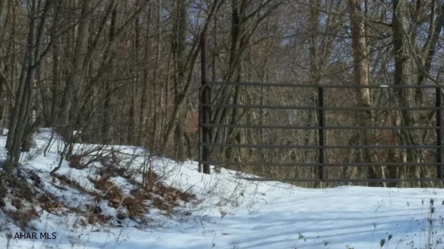 Wooded acreage on Glade Pike. Secluded and private setting offer an excellent building site(s). Two springs on the property!