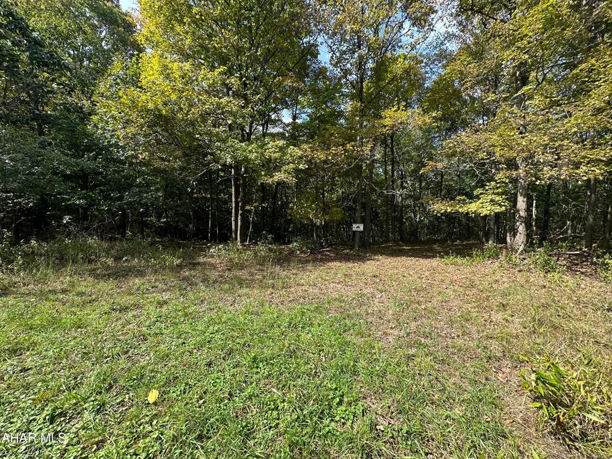 Outstanding building site for this 6.556 acre lot with a level building site, perc approved, and easy access.  Underground electric available to tie into at each lot.  Gravel road access, minimal deed restrictions.  Perfect for a dream home, recreational retreat, hunting and more.   Mins from Shawnee State Park, Omni Bedford Springs and much more.