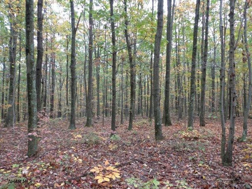 Nice building lot with lots of room with privacy, approx 1100 +/- foot road frontage. Has been surveyed, woodland and waiting for you and your dream home.