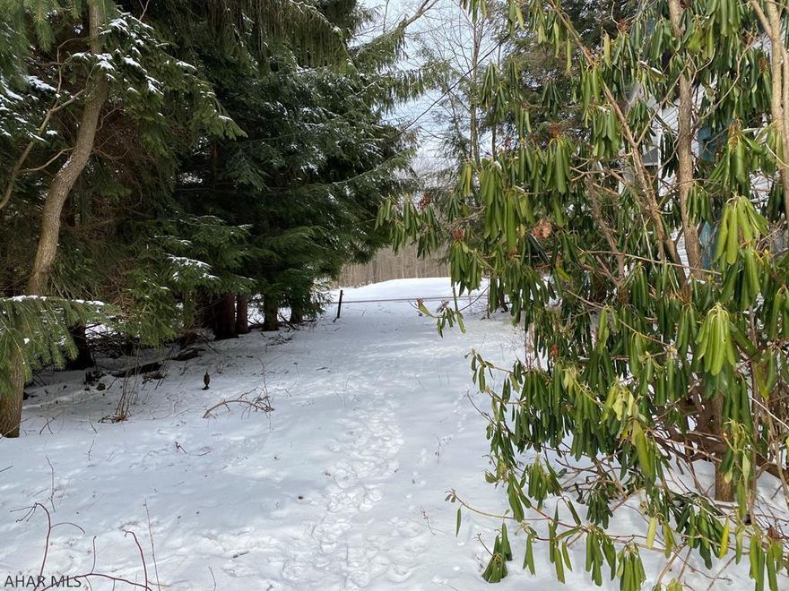 Needs a lot of love! This property used to be a weekend cabin. This home needs completely remodeled or torn down to build your dram home. Walking distance to game lands.