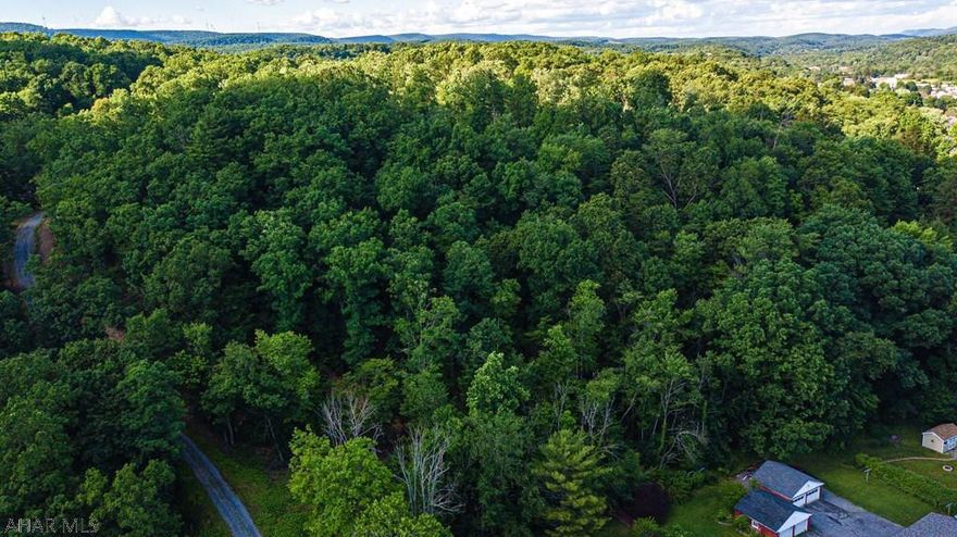 Beautiful piece of property. Let your dream come true...build your dream home amid local wildlife and plenty of privacy in the woods.