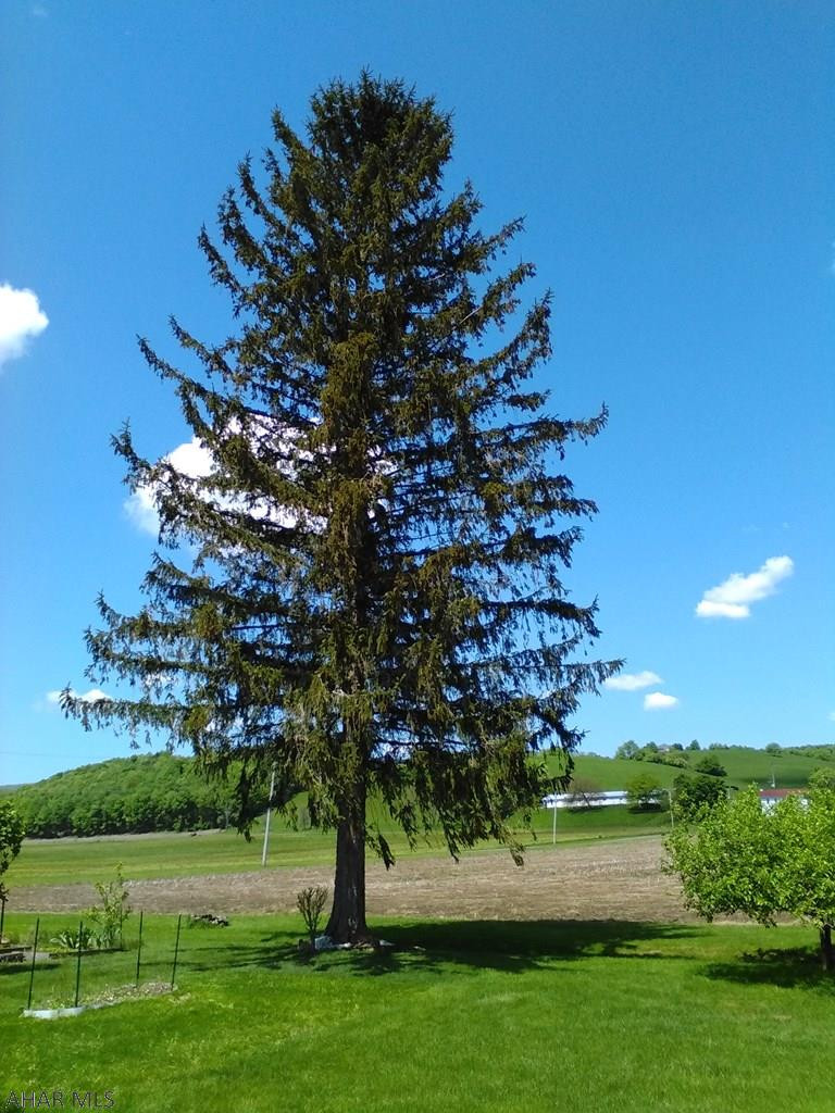 Antis Township - Residential