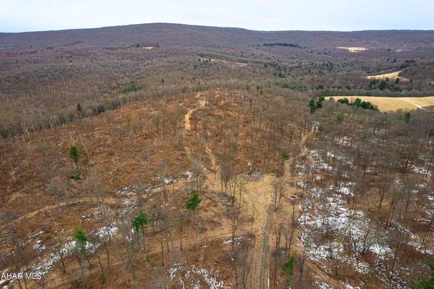 Grab your opportunity to own a mountain! This property has so much potential. Perfect hunting and hiking, or build your dream home or multiple dream homes! Million dollar views for miles! Bordering state game lands. Road already installed to the top. Gated for privacy.