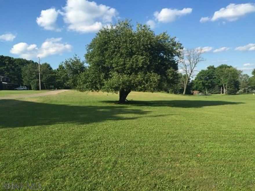 Forest Hills schools.. Great location!! 1/2 an acre cleared & level lot in Elton/Adams Twp. Utilities available, including public water & public sewer. Road frontage 162 feet. Build your dream home here! Call today!!