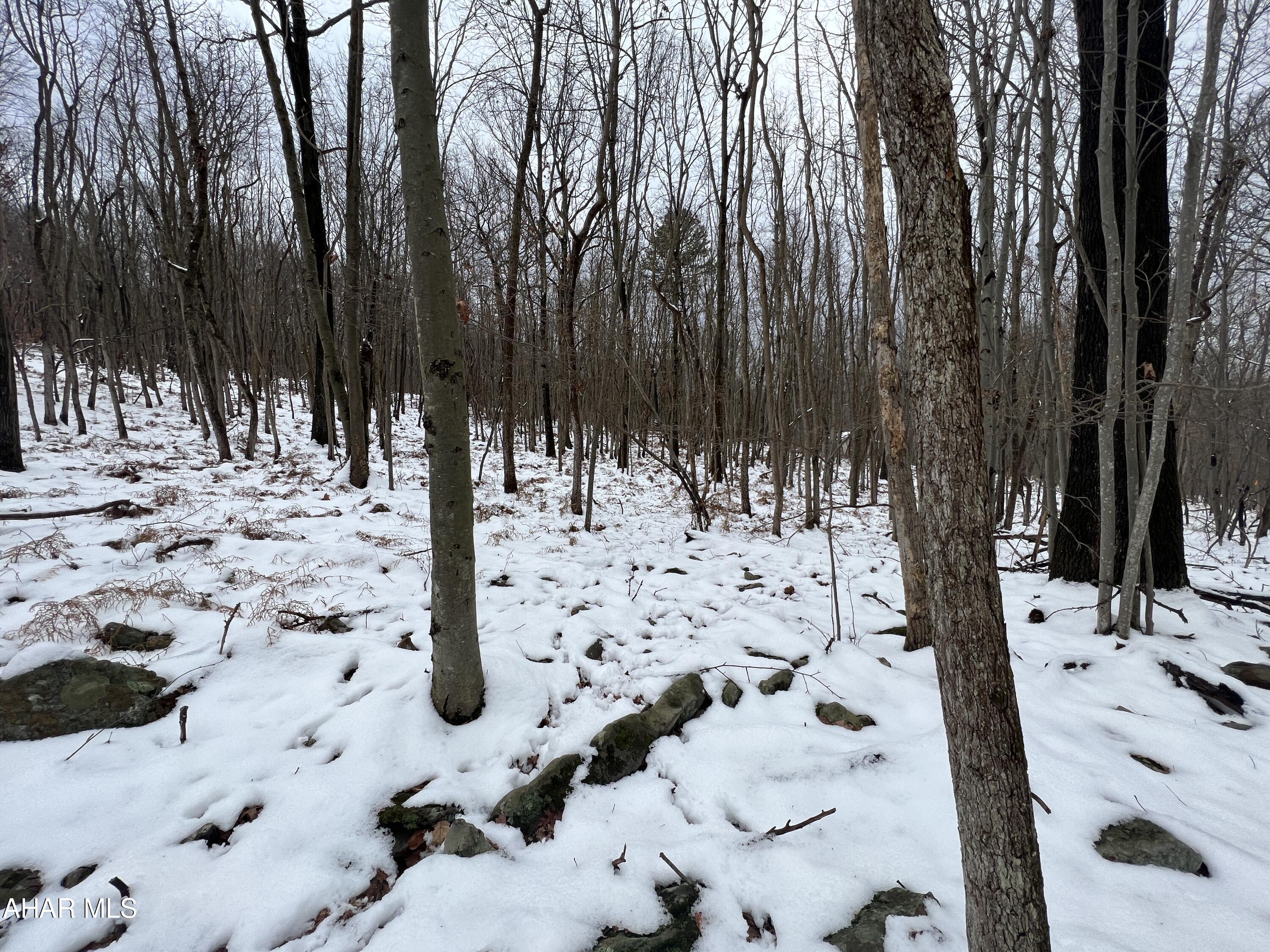 None - Commercial Sale