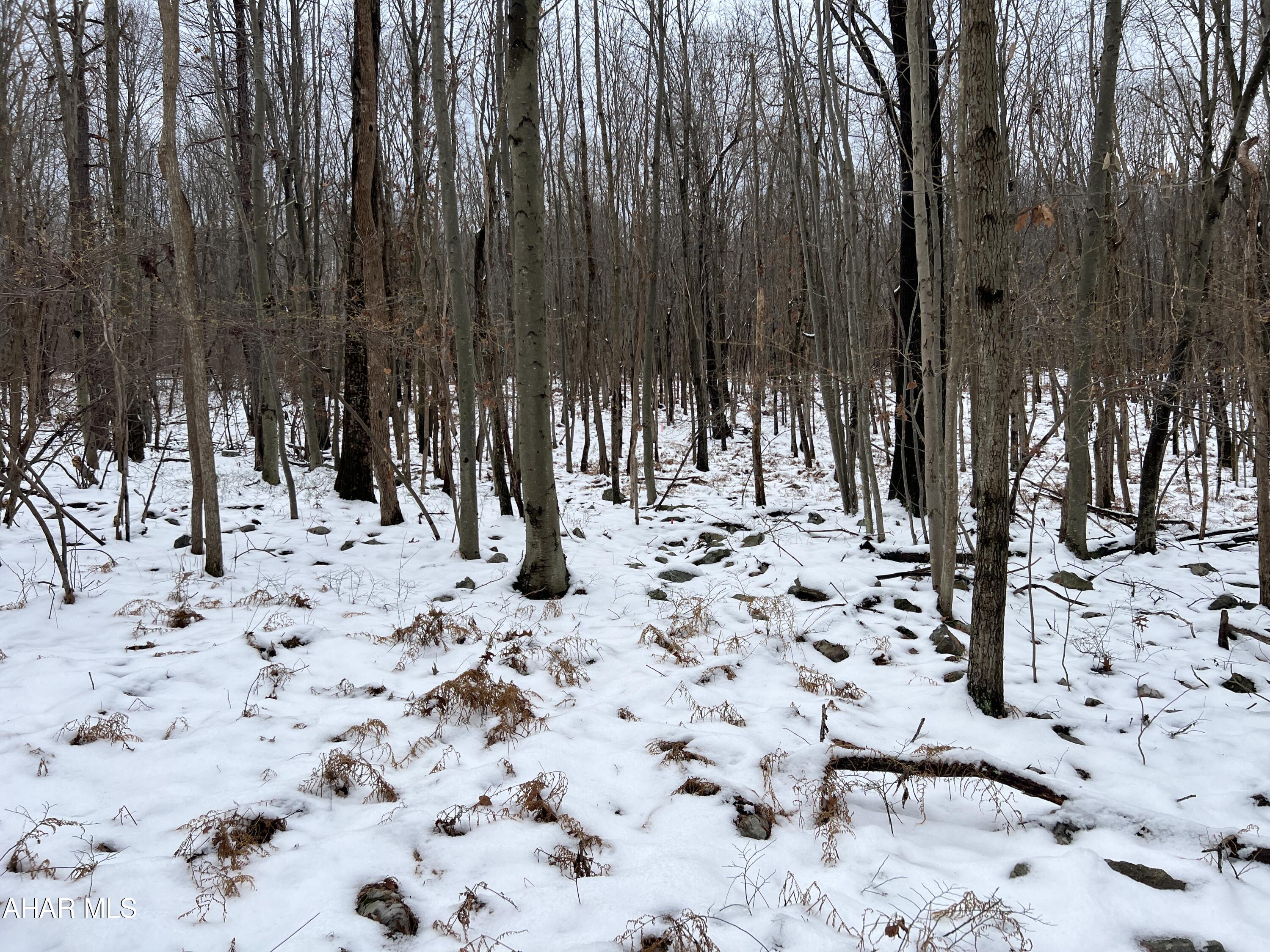 None - Commercial Sale