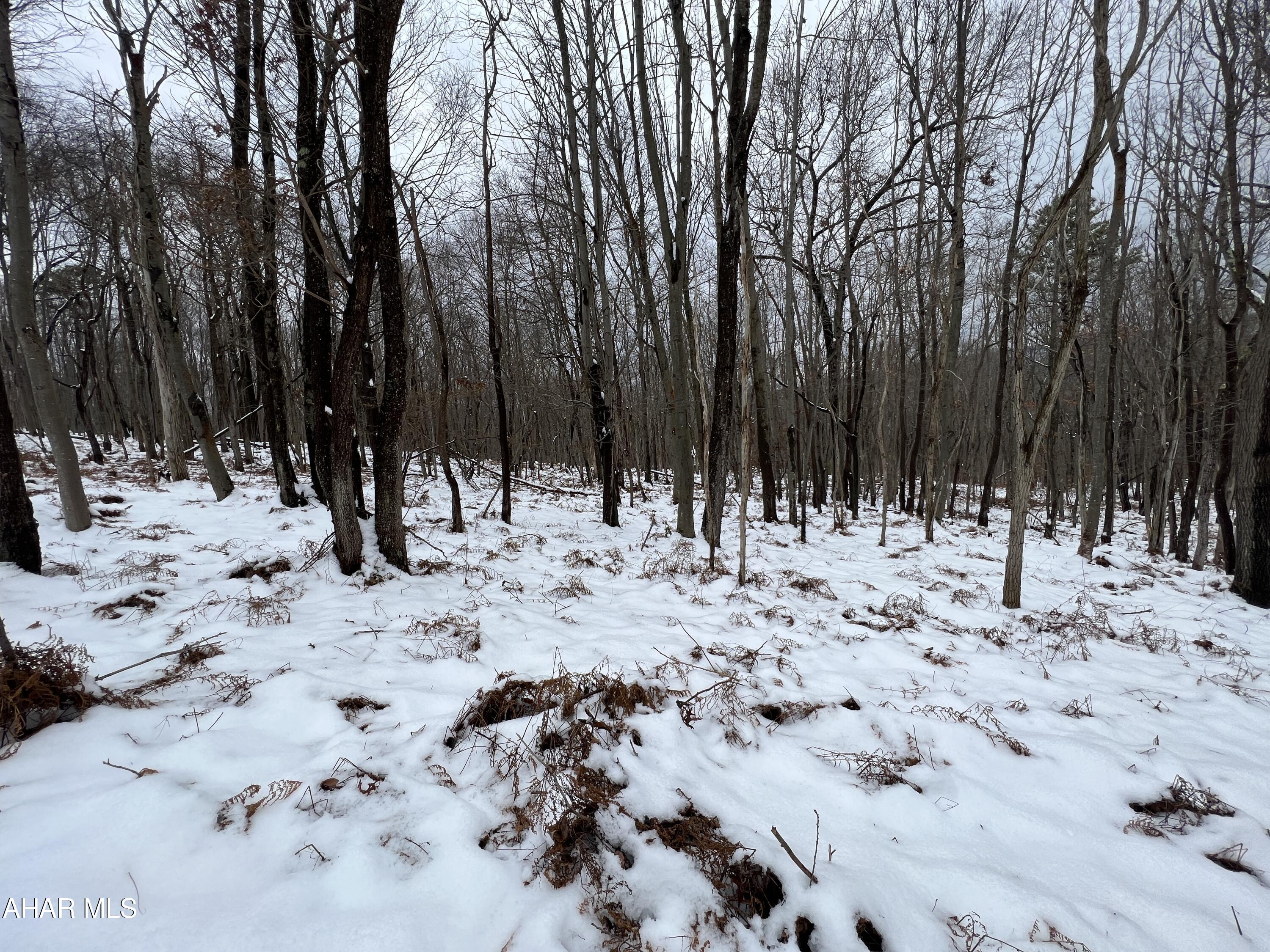 None - Commercial Sale