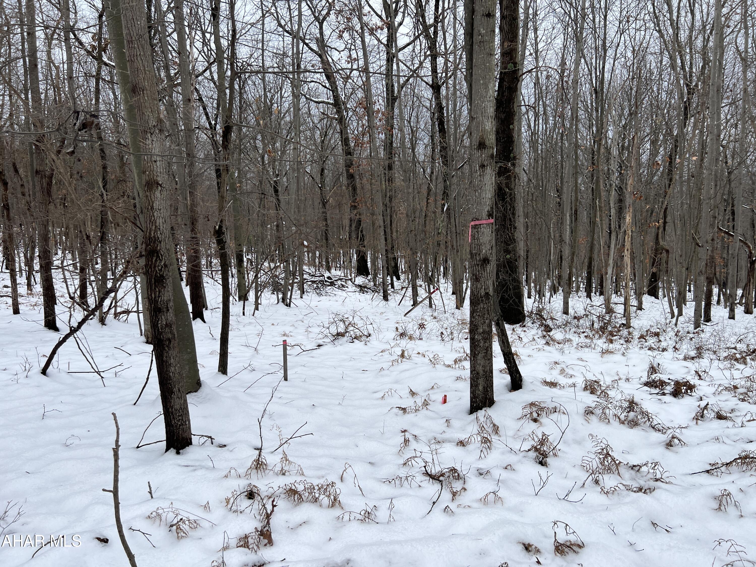 None - Commercial Sale