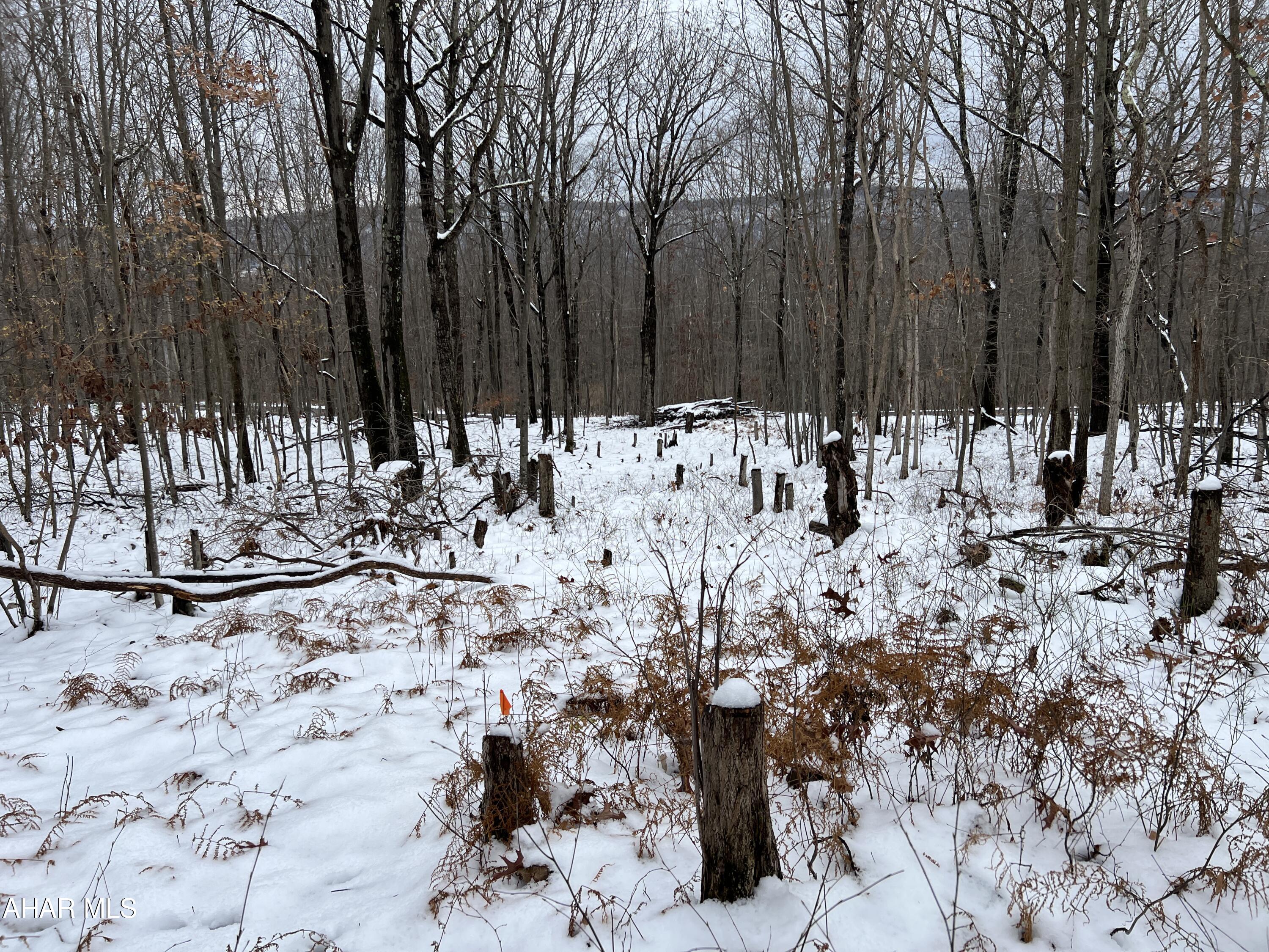 None - Commercial Sale