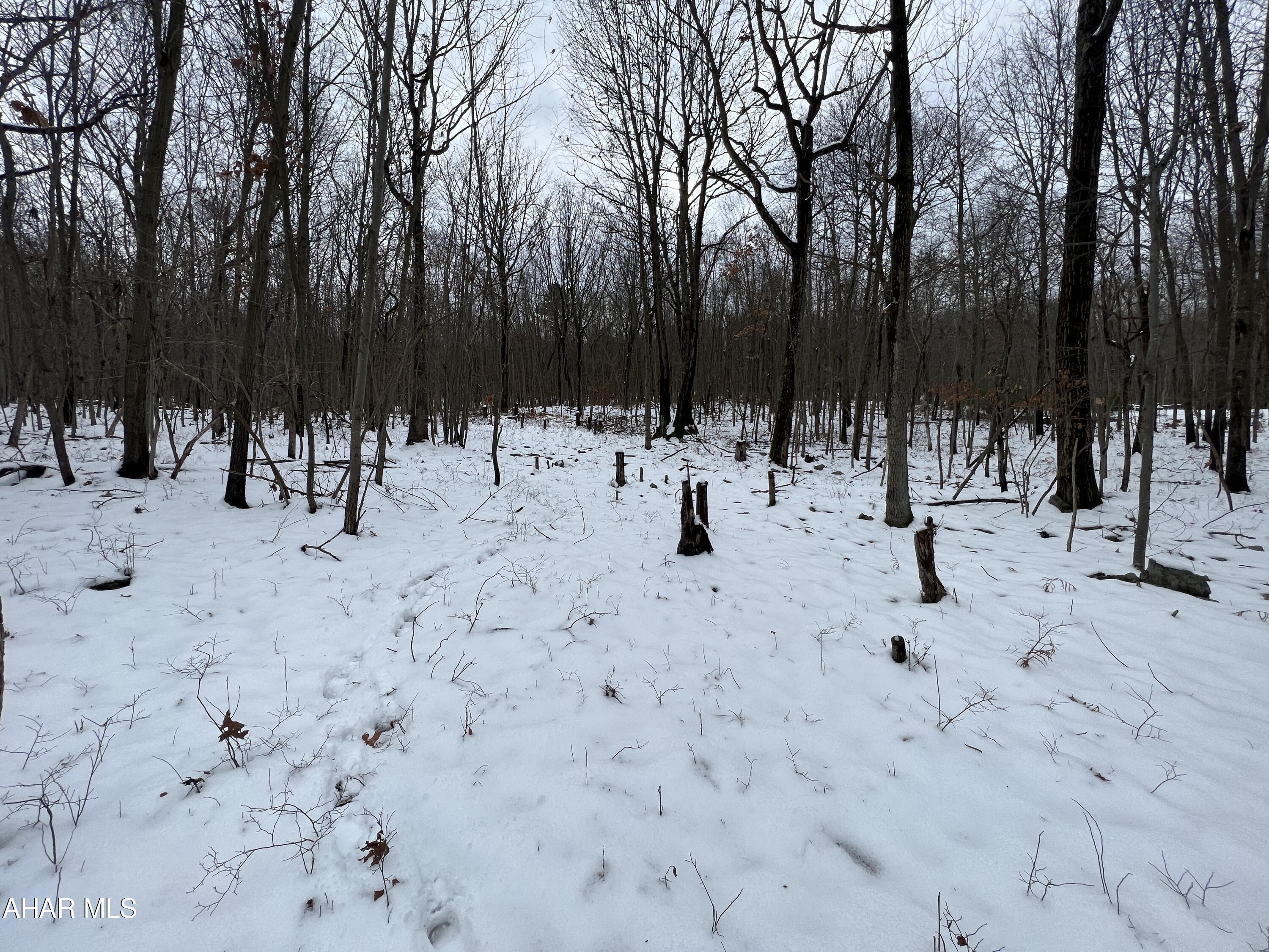 None - Commercial Sale