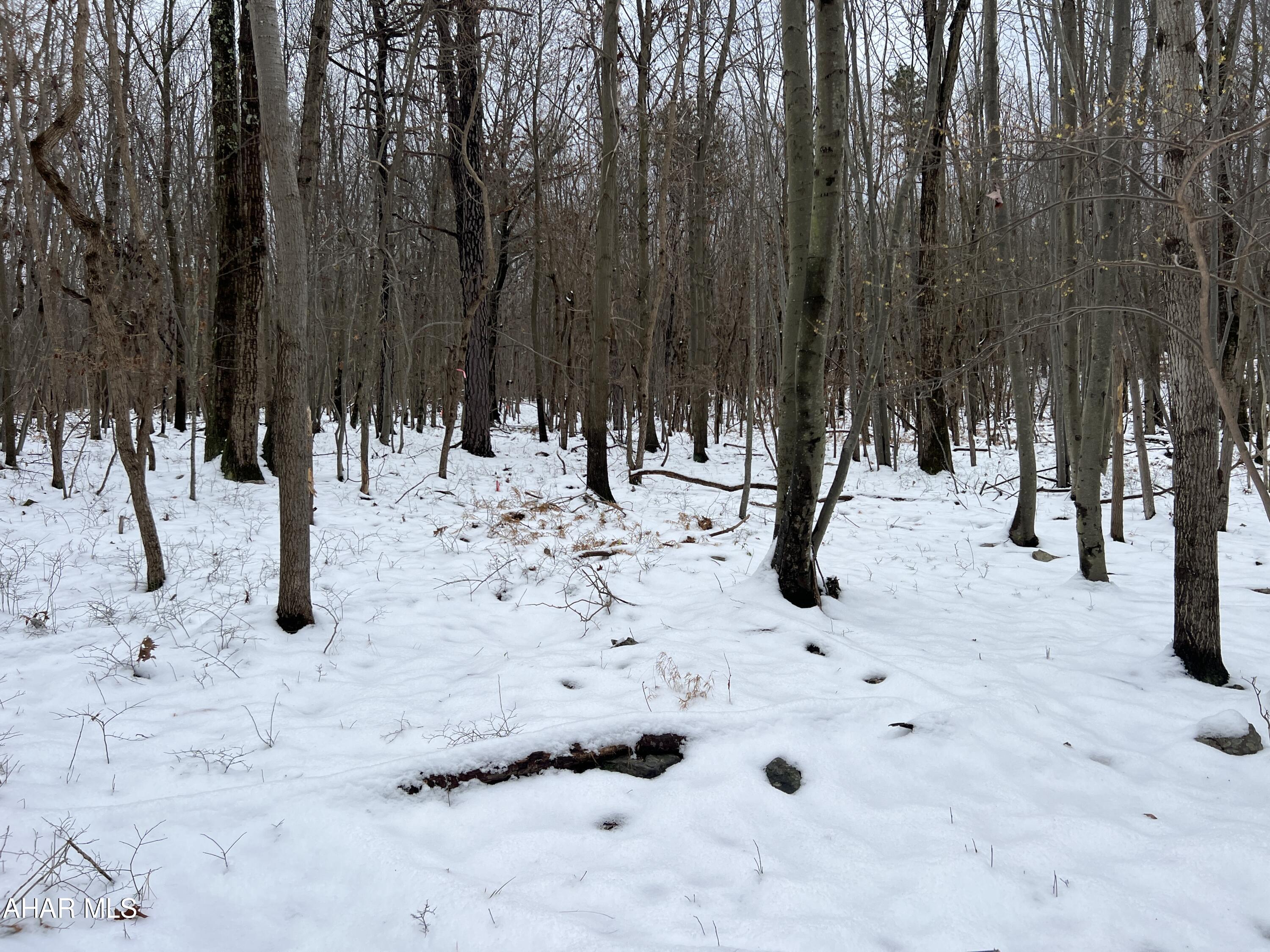 None - Commercial Sale