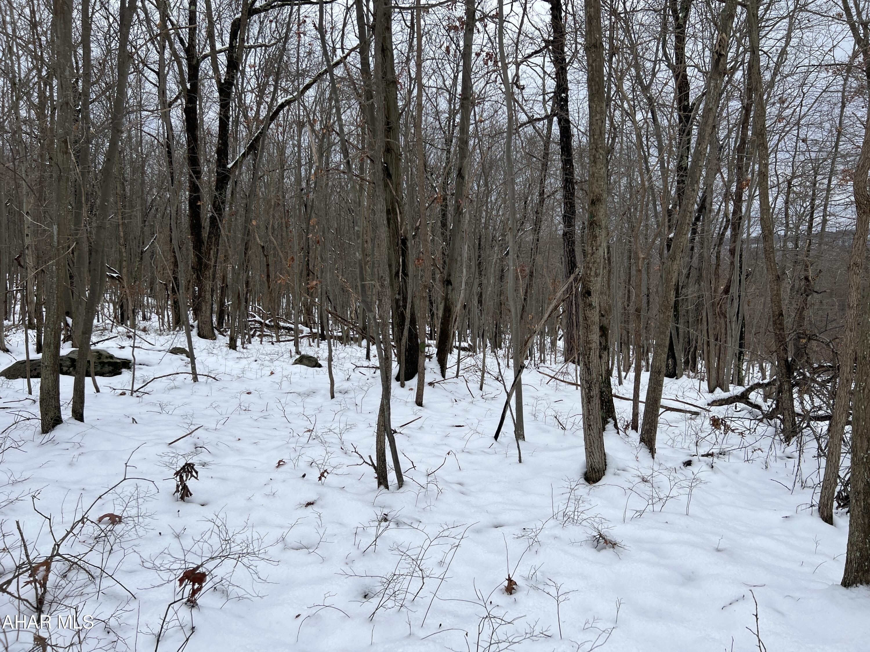 None - Commercial Sale