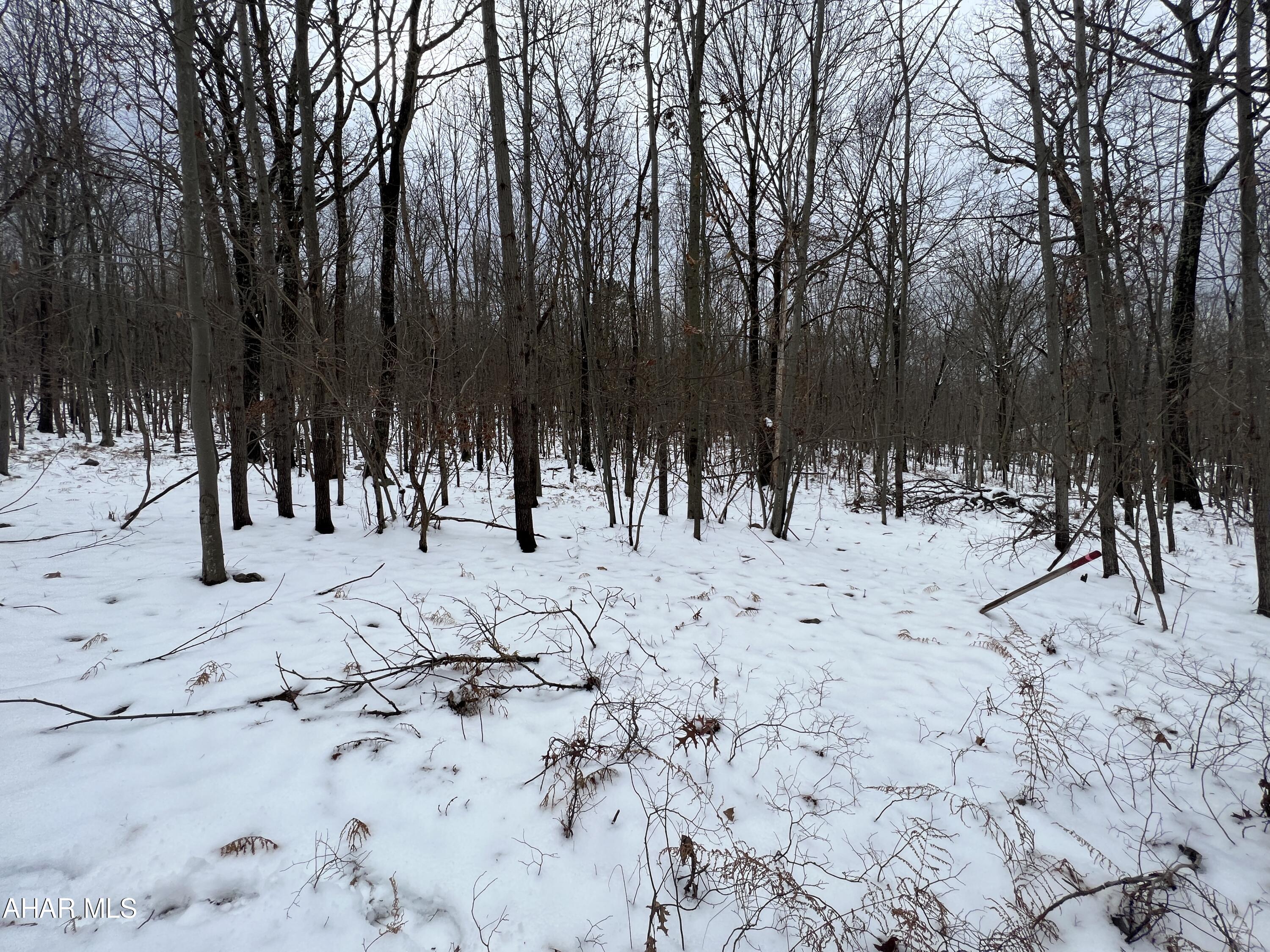 None - Commercial Sale