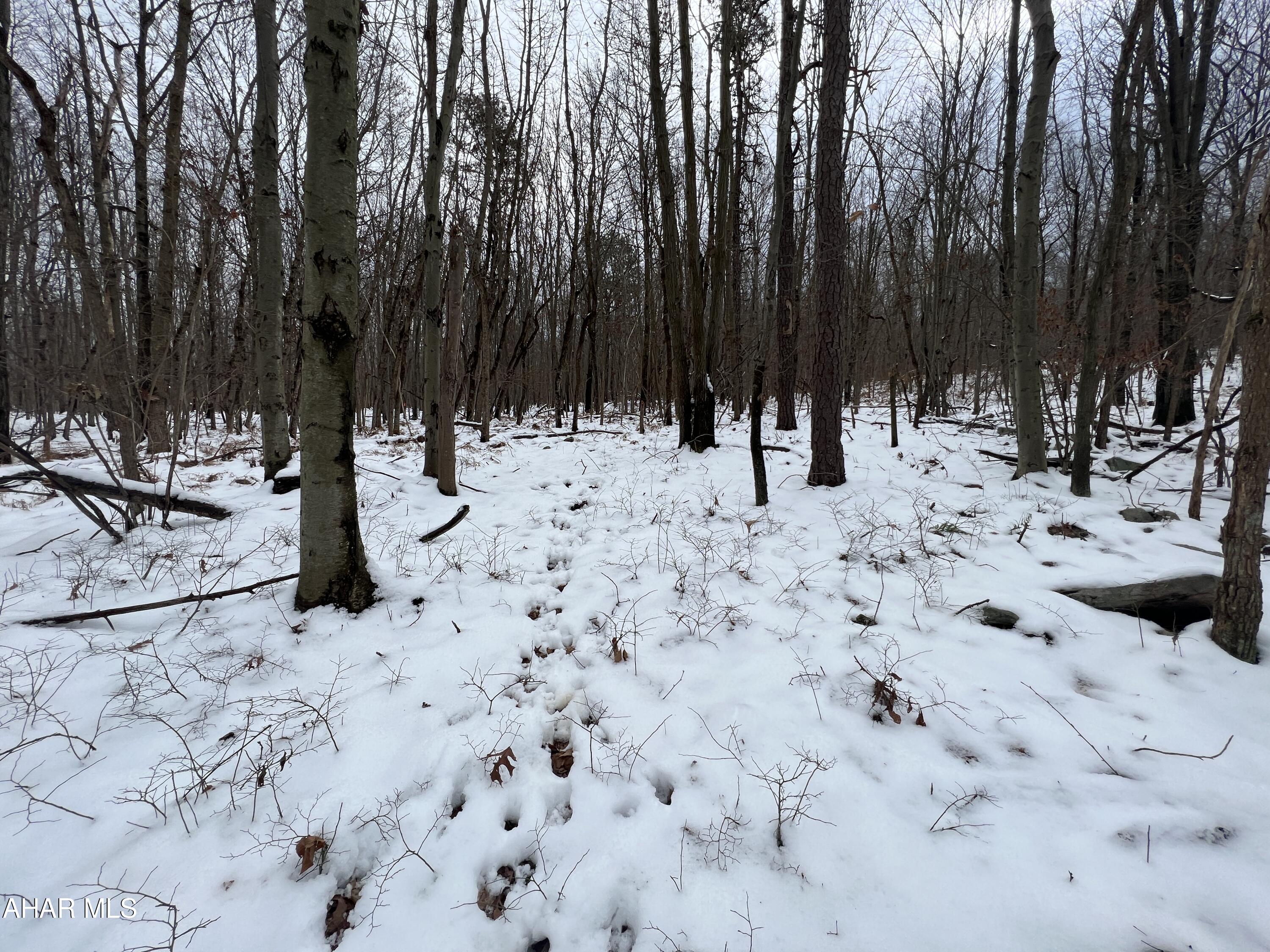 None - Commercial Sale