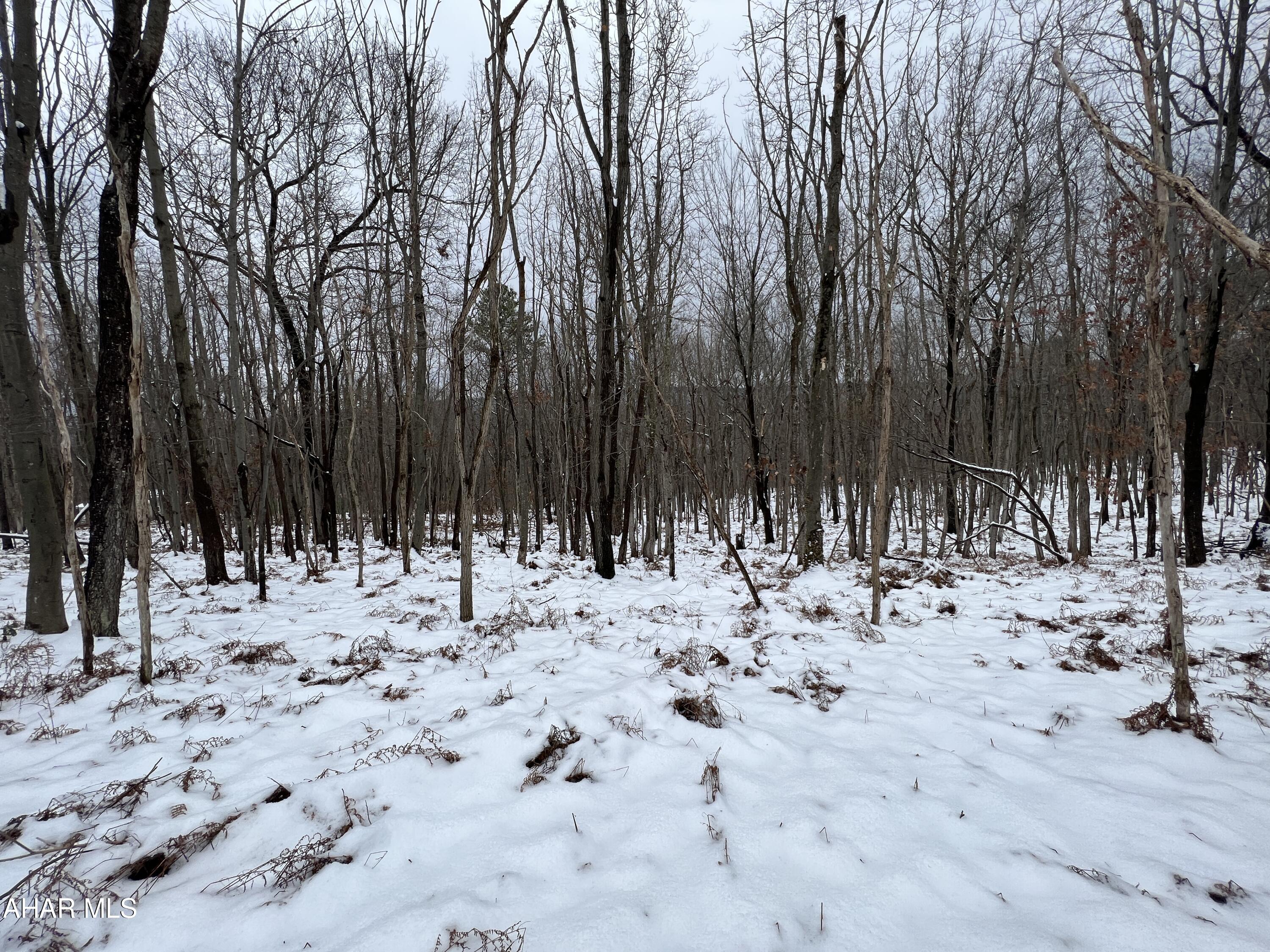 None - Commercial Sale