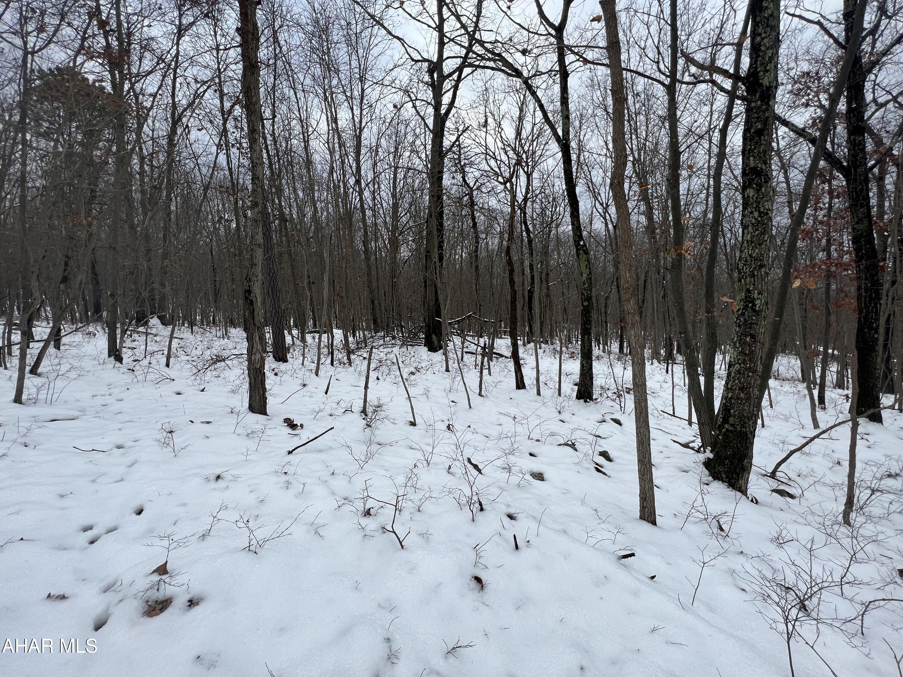 None - Commercial Sale