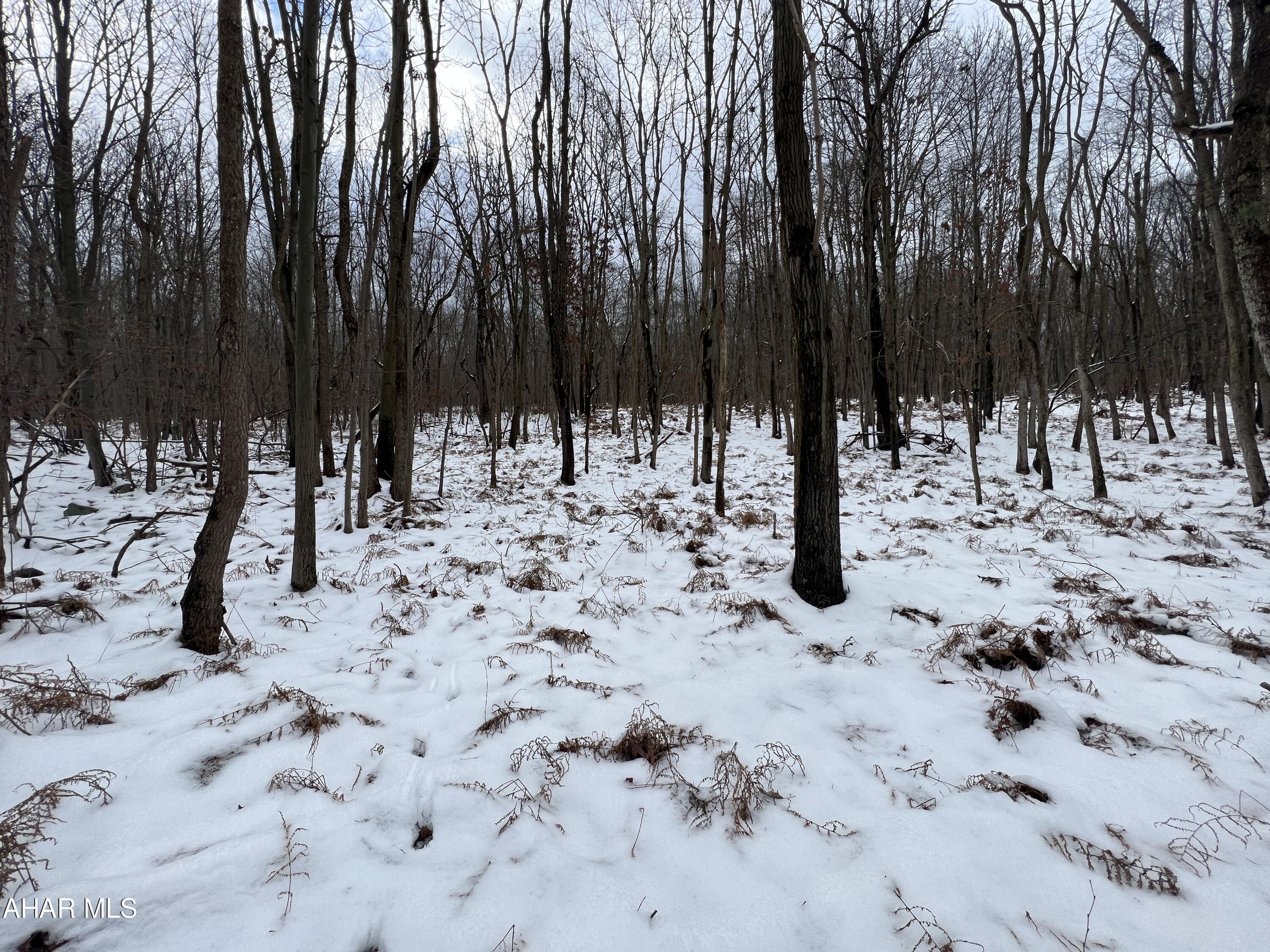 None - Commercial Sale