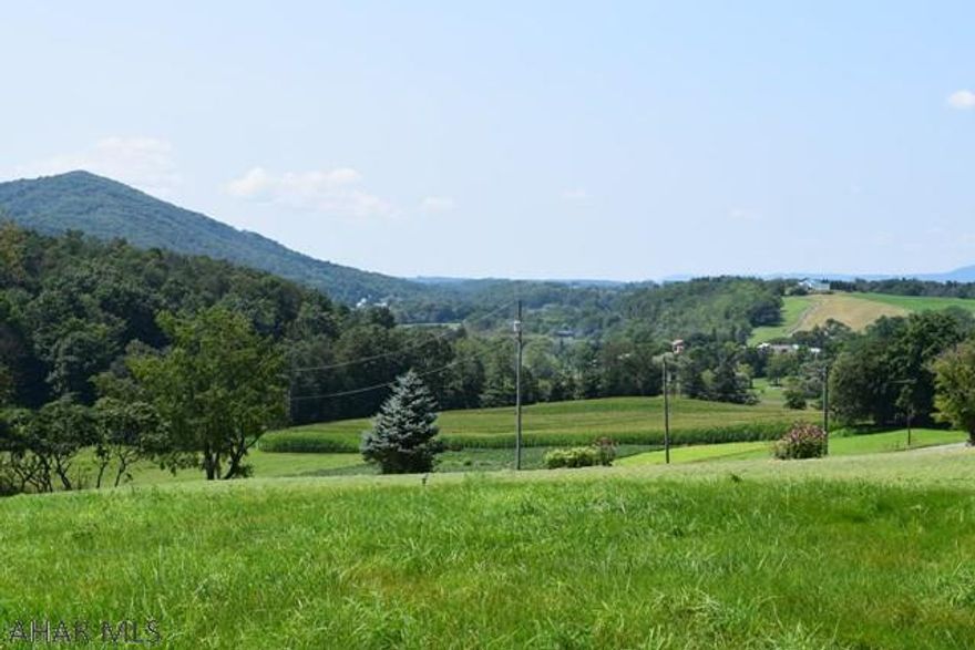 Country setting with breathtaking panoramic views for miles. Tree lined beautiful 2 acre lot to build your dream home. Some plantings on the 2 acres. Choose your own builder. Buyer to put in well and septic. Only a short distance from Pine Creek/Penns Creek/Elk Creek, Poe Valley State Park and Millheim. Easy commute to State College, PA and Lewisburg, PA.