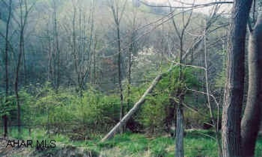 32 Wooded acres, great for hunting.