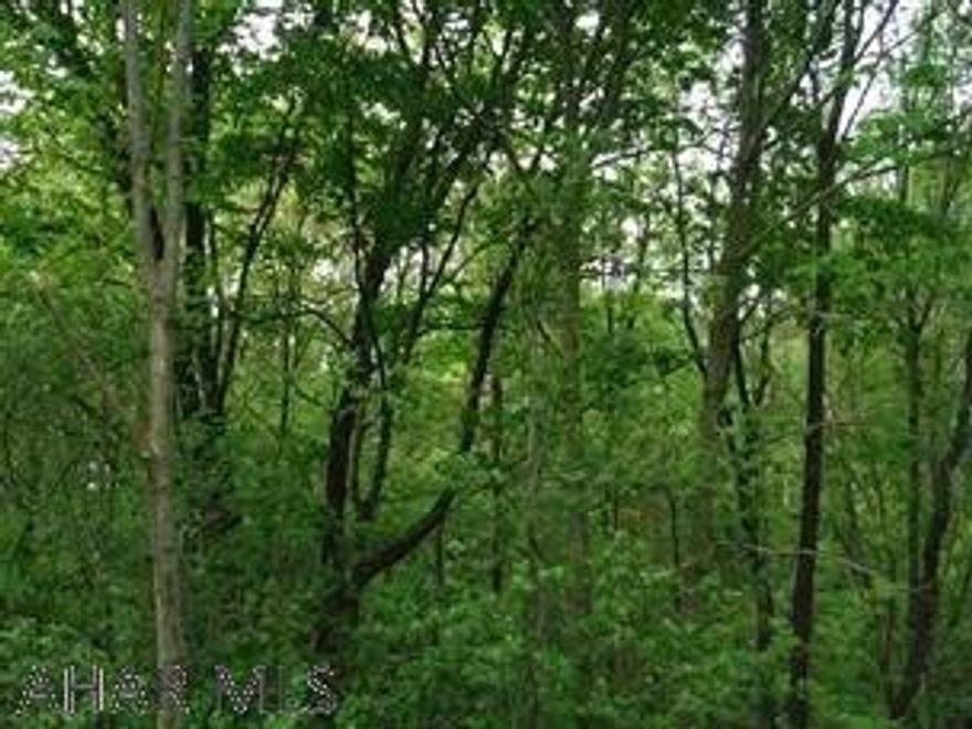 Wooded 4.31 acres great for a camp or building site. Survey  and perk test were done please call for all information.
