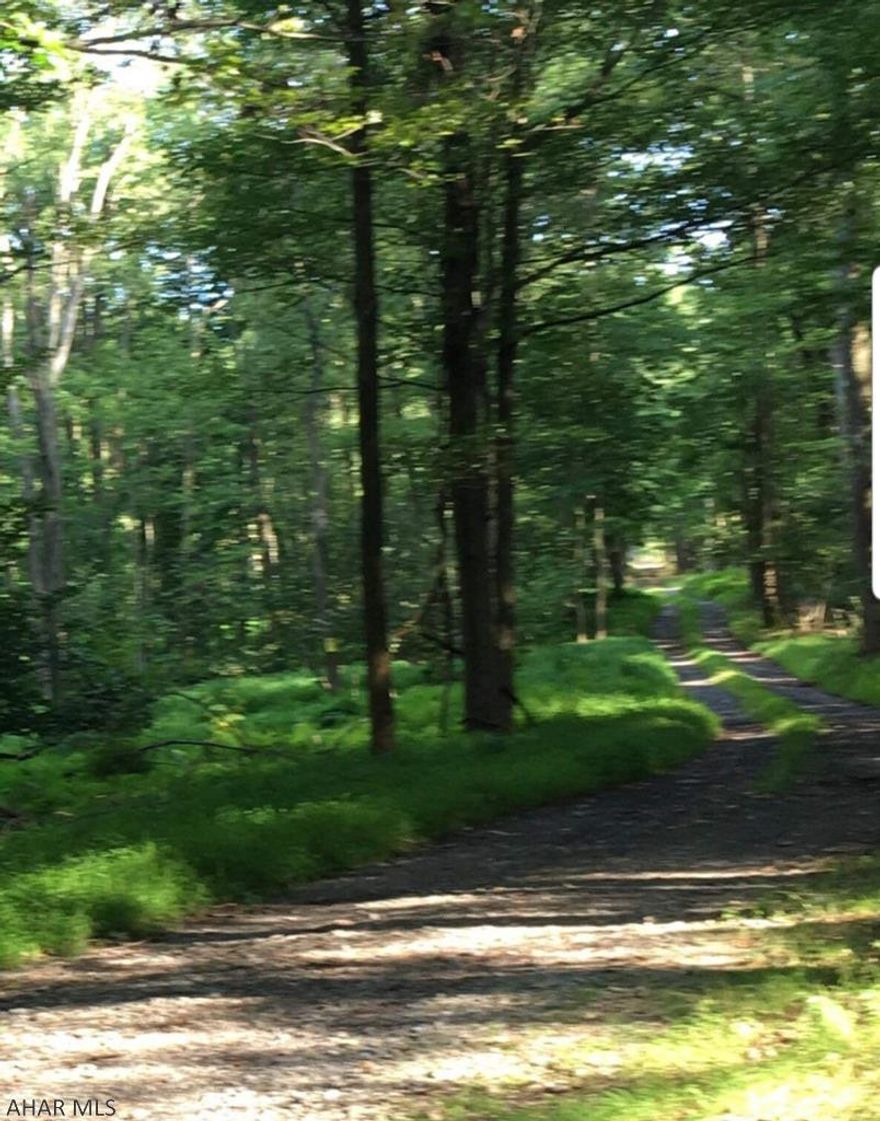 Beautiful area to build the home of your dreams! Plenty of room to build a secluded private home  and enjoy an abundance of wildlife with your morning coffee.  This parcel of wooded property has road frontage on Dry Run Road and a dirt road for right of away to rest of property. Property has not been perc tested. Call listing agent for more information.